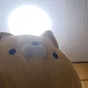 .dsrn