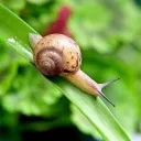 jjhsnail0822