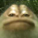 therealcai_