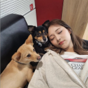 avatar Friendly fire 𝜗𝜚