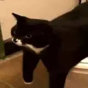 titanized