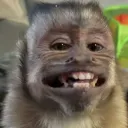 notmatheuss
