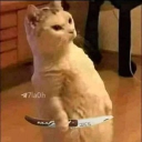 【ＭＲ．ＬＵＣＩＦＥＲ】