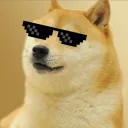 kot_narkotshi