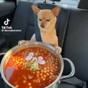 ifindfootage
