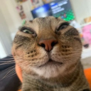 avatar The Local Thighs Specialist