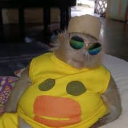 avatar Overprotected