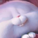 snowball_8
