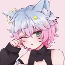 kyunthecat