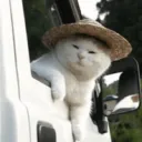 truckercat