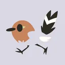 notafalcon