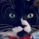 avatar Le Katz