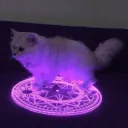 shupet's Avatar
