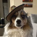 caydenho