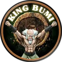kingbumi79