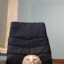bong1asd