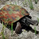 turtlebehindtheslaughter