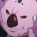 koala089528