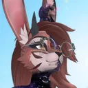 erinshuwa