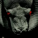 python3891