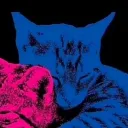anonymo0se