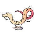 damquidan