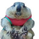 avatar Identity Thief