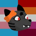 leopardsun