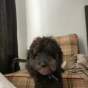 jake_c31