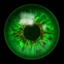 frankiegreeneye