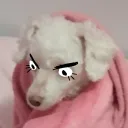 n4ninha_