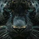 thedarkpanthera