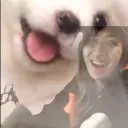 thisninjanerd