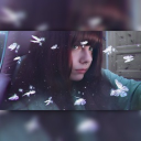 avatar ᴏᴋᴀᴍɪ 𓃦☽