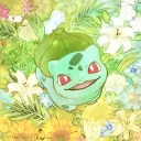 mayolig