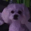 glitterkid