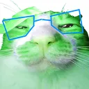 catemzi