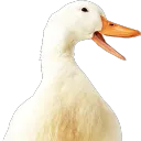 .emperorduck