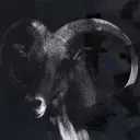 rau_x avatar