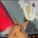 Аватар biba5328