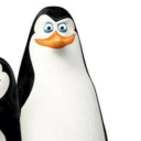 avatar 𝕽𝖊𝖆𝖕𝖊𝖗