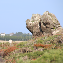 avatar 𝓟𝓸𝓼𝓼𝓲𝓫𝓵𝔂 𝓟𝓮𝓻𝓼𝓸𝓷