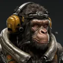 thedonkeysmonkey