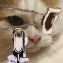 shadovek avatar