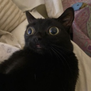 daniiig#5609's avatar