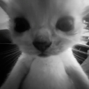 avatar 𝐨𝐧𝐢𝐢