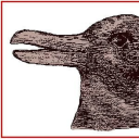 avatar ̔̏̊̚6̔̏̊̚7̔̏̊̚