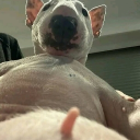 avatar ѕкуєєєє