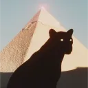 bywhite_