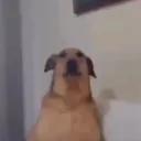 0xhagen
